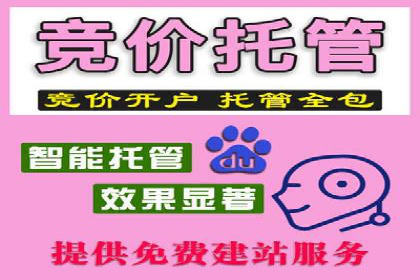 SEM运营推广策略案例分析